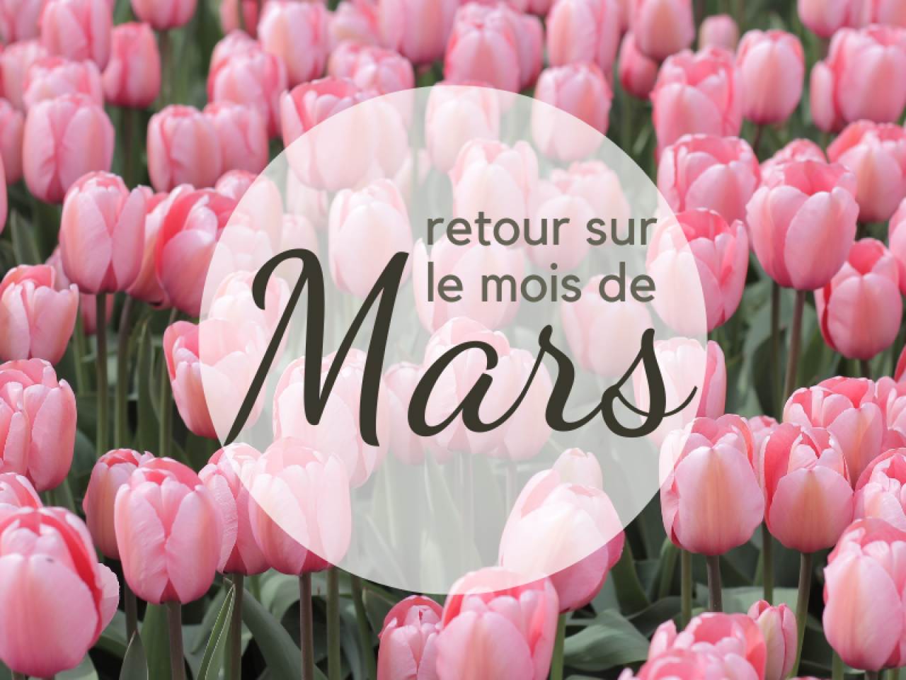 Retour sur le mois de Mars