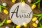 Retour sur le mois d'Avril