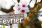 Retour sur le mois de février