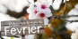 Retour sur le mois de février