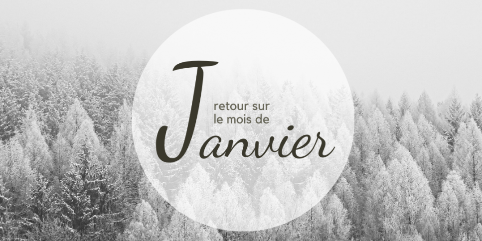 Retour sur le mois de Janvier